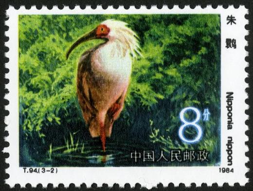 T94《朱鹮》1984年 商品图2