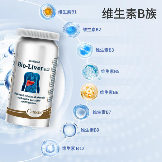 丹麦Camette凯麦特全新升级金装奶蓟草片 肝脏保养护熬夜解酒水飞蓟保健品 商品图4