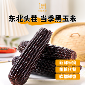 非转基因 黑糯玉米 口感微甜脆糯 玉米香浓厚 颗粒饱满 来自东北黑土地黄金种植带 好吃有饱腹感 减脂必备