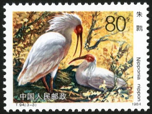 T94《朱鹮》1984年 商品图3