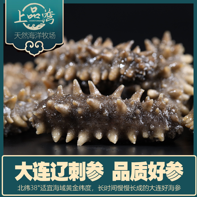 【北京卫视专享】辽宁大连鲜食高压普口海参500g装5~8头