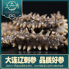 【北京卫视专享】辽宁大连鲜食高压普口海参500g装5~8头 商品缩略图0