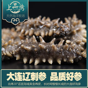 【北京卫视专享】辽宁大连鲜食高压普口海参500g装5~8头