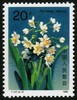 T147《水仙花》1990年 商品缩略图2