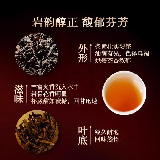 岩语 寻岩大红袍 茶叶特级武夷山岩茶正宗正岩花香乌龙茶48g 商品图1