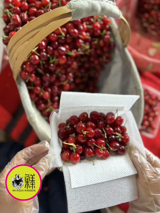 📦全国发【春季限定20天】攀枝花米易玛瑙红小樱桃🍒（喵菓基地顺丰空运包邮） 商品图2