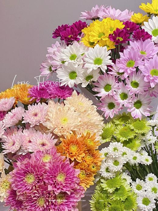 精选花材广州本地混色小雏菊10支 商品图4