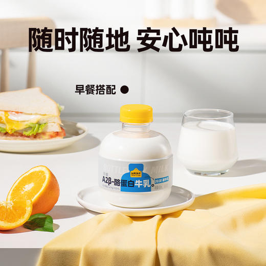 认养一头牛-冷藏-A2吨吨牛乳460ml*6瓶 商品图2