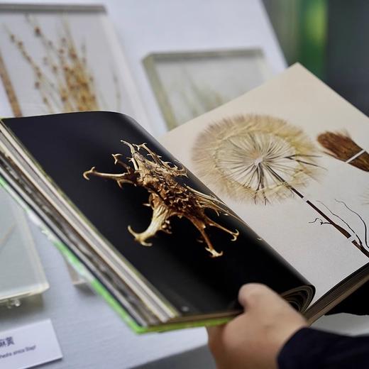 看得见的自然史 法国国家自然博物馆编著中国国家地理博物学自然史古生物学地质学 商品图3