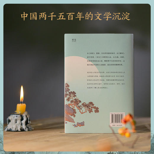 [限量印签+书签]中国古典文学讲义    古典文学源流与脉络！果麦 商品图3