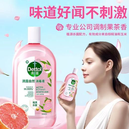 滴露自然消毒液 商品图1