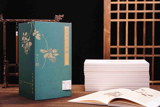 十竹斋书画谱（全16册） [明]胡正言  著  最古老的中国画谱，国画必读 商品图2