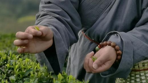 碧云禅茶（纸包装） 春日第一鲜，明前碧云龙井茶，“鲜掉眉毛” 125g 商品图1