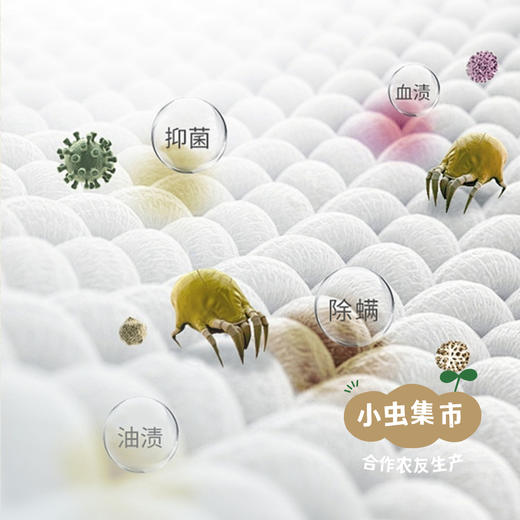 植萃酵素母婴精油洗衣片 30片/盒 | 合作农友生产，产自广州，生产商：顾莉俊 ＆【公平贸易农人定价】 商品图10