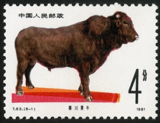 T63《畜牧业——牛》1981年 商品图1