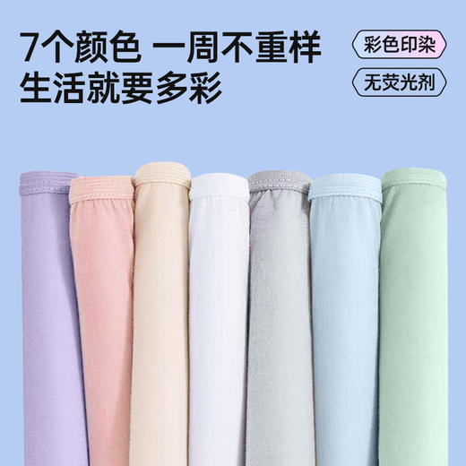 GRAREY（格瑞亚）纯棉日抛内裤7条  独立包装 商品图6