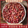 【食品】斑马豆肾形豆新货云南农家自种花芸豆红花豆子500克/袋 商品缩略图0