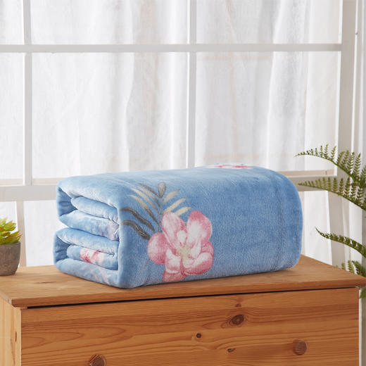恒源祥 木芙蓉绒毯 180*200cm HYX011MT 商品图1