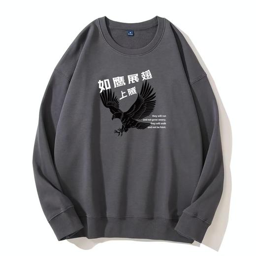 W2024如鹰展翅上腾秋冬季460克重磅卫衣宽松款 商品图0