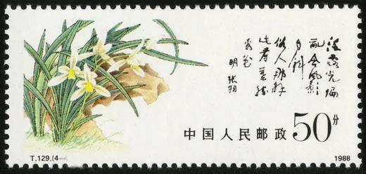 T129《中国兰花》1988年 商品图4