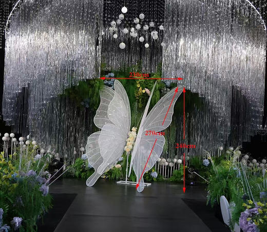 比翼双飞（运费自理） 商品图0