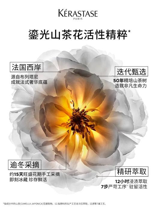 卡诗全新鎏光山茶花护发精油30ml/护发精油套盒75ml正装送75ml替换 修护柔顺滋养 商品图6