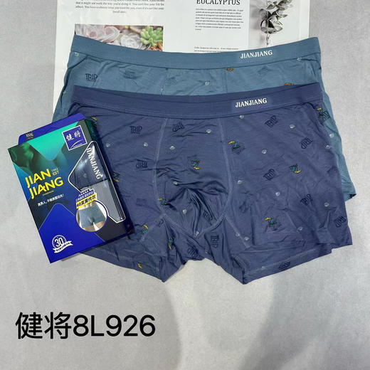 【29.9元/盒】健将莫代尔网孔男士平角内裤(两条装）（1204238） 商品图0