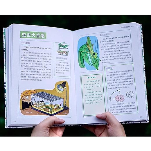 好奇鬼的自然大发现 少儿百科书童书科普书籍给孩子有趣的自然探索小百科 小学生课外阅读书籍 商品图3