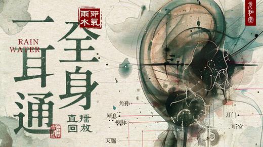 迷罗丨节气直播精华乙巳蛇年雨水养生知识总纲 商品图0