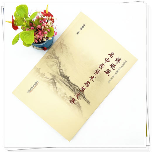 傅晓骏名中医学术思想文集 傅晓骏 主编 傅晓骏名中医传承工作室丛书 中国中医药出版社 商品图1