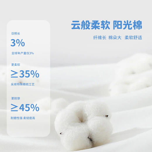 贝贝怡【5双装恐龙印花网眼袜】25春夏新款男童透气网眼袜轻薄短袜子ZB5EP010 商品图3