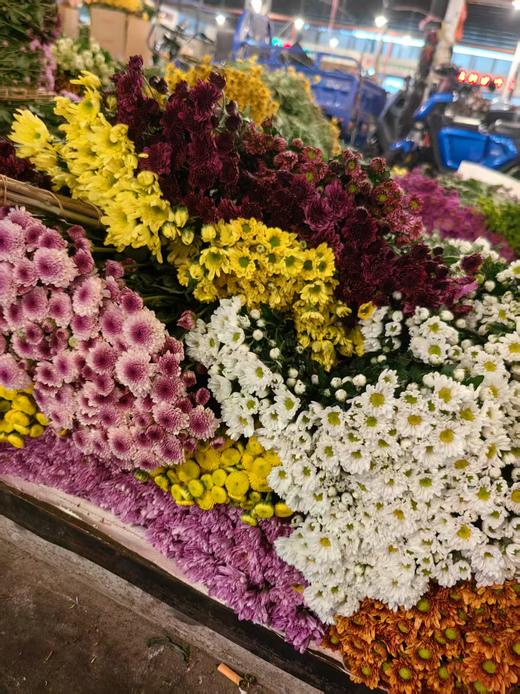 精选花材广州本地混色小雏菊10支 商品图7