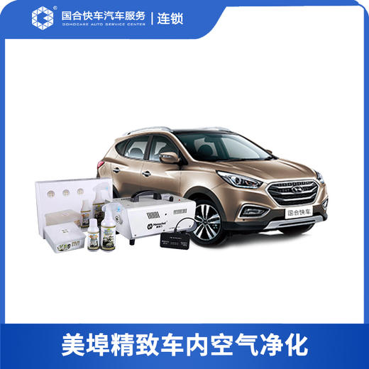 【保险积分兑换】美埠精致车内空气净化 商品图0