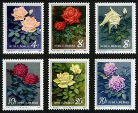 T93《月季花》1984年