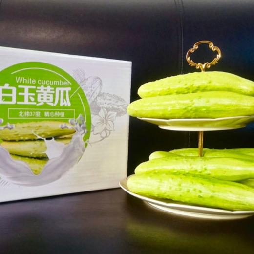 【京东快递】海阳白玉黄瓜 百年历史 地理商标 低卡脆甜 来自神奇黄金北纬37° BNXNY 商品图1
