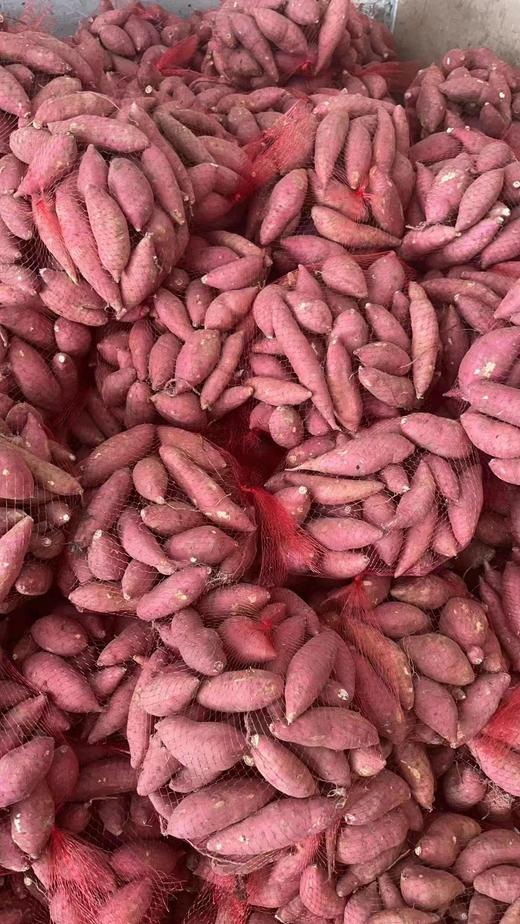 海南小小香薯9.8元1袋约3斤左右，次日到 商品图4