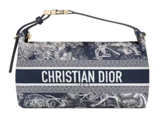 DIOR迪奥 DiorTravel NOMAD茹伊印花拉链开合科技面料 手拿包 中号 女款 蓝色 商品图0