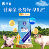 华畜4%生长育肥猪预混料猪肽能长仔猪饲料小猪生长猪催肥育肥饲料 商品缩略图0