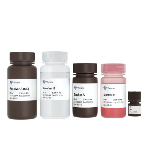 One-Step PAGE Gel Fast Preparation Kit (6%) 商品图0