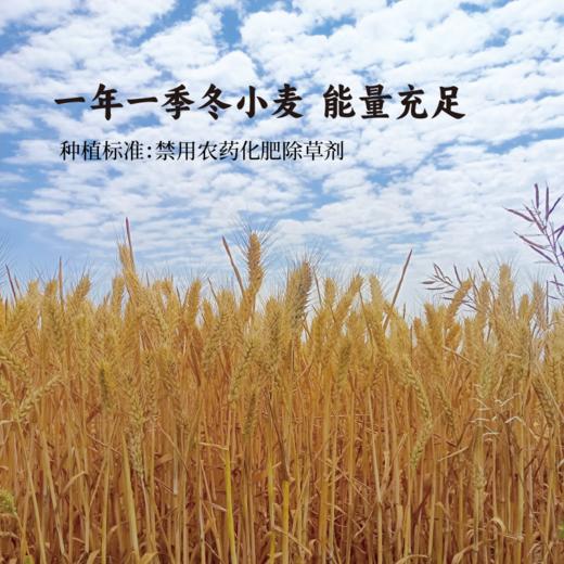 谦益古法原鲜酱油120ml/500g 生态食材传统酿造 自然发酵365天 0化学添加 炒菜/蘸料通用 商品图4