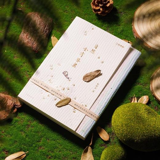 自然会有答案 灵儿姐姐林语尘传统文化中式美学手绘博物散文随笔 商品图3