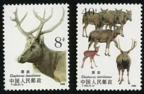 T132《麋鹿》1988年