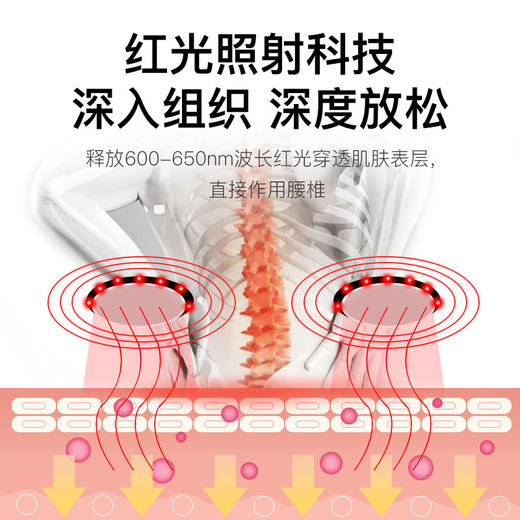 【腰部按摩仪】脉冲按摩 恒温热敷 腰腹两用~ 商品图2
