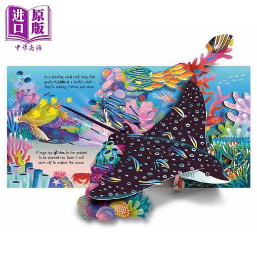 【中商原版】尤斯伯恩立体书 海洋 Pop-up Ocean 英文原版 自然科学立体绘本 包含五个精彩的弹出式故事 科普读物 进口童书 商品图1