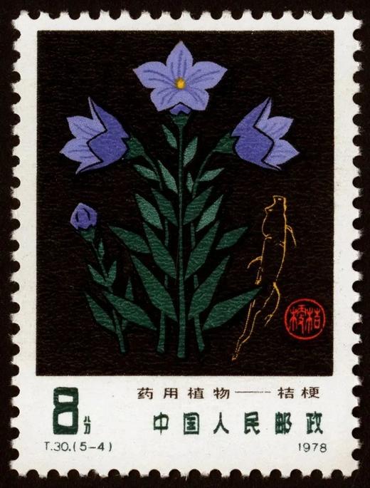 T30《药用植物》1978年 商品图4