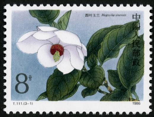T111《珍稀濒危木兰科植物》1986年 商品图1