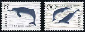 T57《白鱀豚》1980年