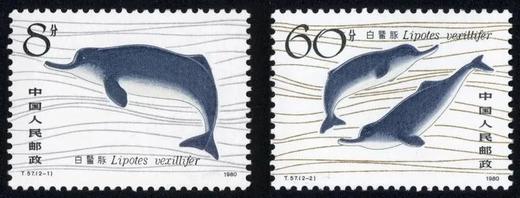 T57《白鱀豚》1980年 商品图0