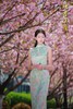 【绿 意】春夏季清新无袖立领旗袍浅绿色底配柔美花卉印花温婉雅致新中式 商品缩略图5