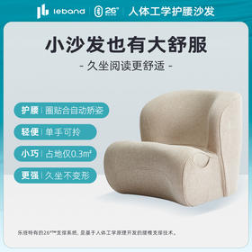 乐班护腰单人沙发客厅卧室沙发轻奢沙发单手可伶久坐不累